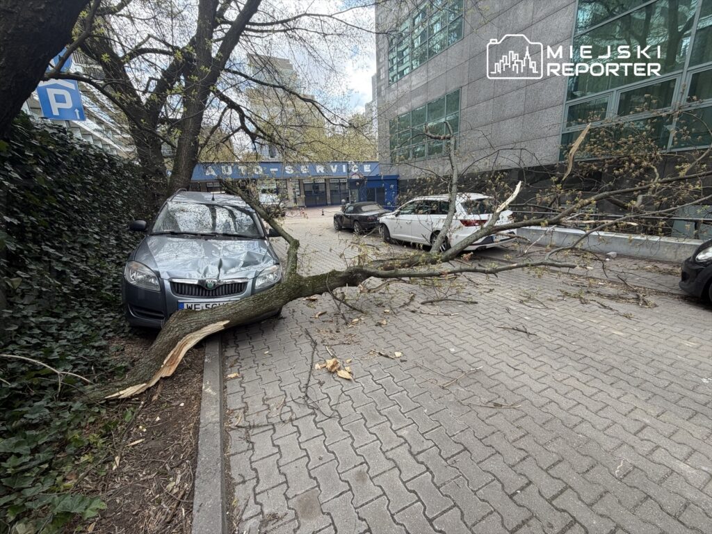 Złamana gałąź leży na uszkodzonym samochodzie w parkingu obok nowoczesnego biurowca.