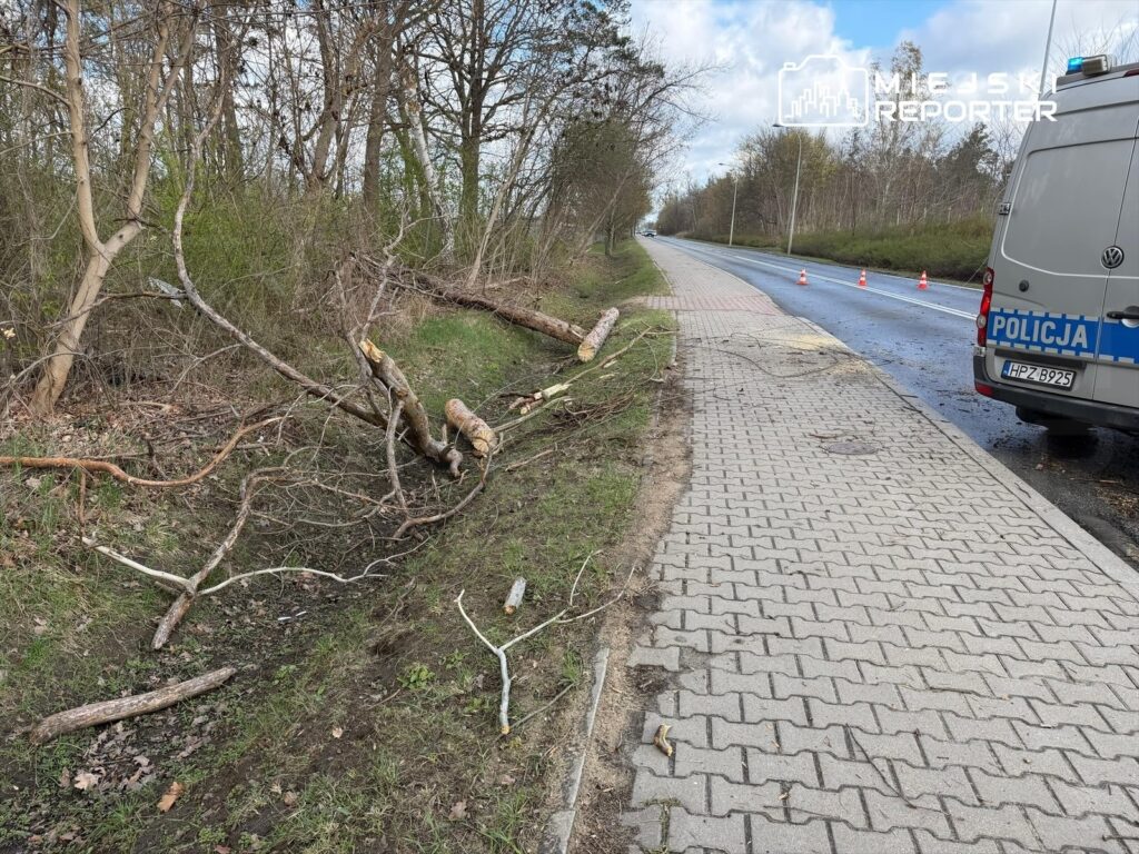 Na chodniku leżą powalone gałęzie, obok stoi radiowóz policyjny przy drodze otoczonej drzewami.