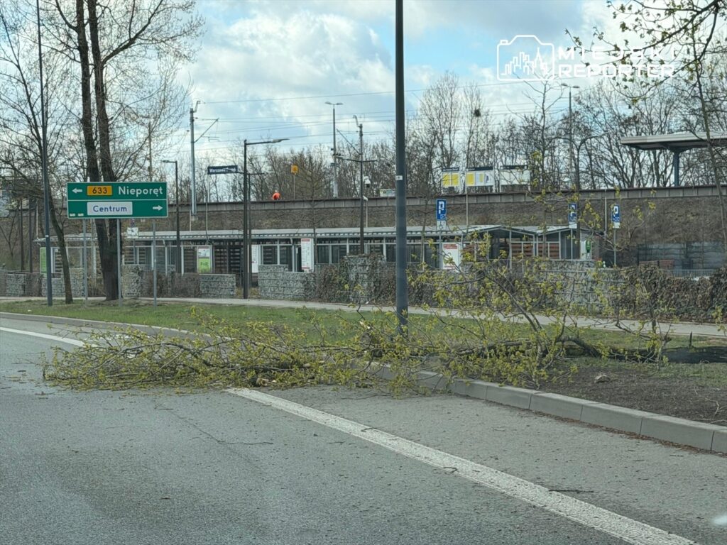 Połamana gałąź leży na jezdni obok znaku drogowym wskazującym kierunek do Nieporętu i Centrum. W tle widoczny nowoczesny budynek.