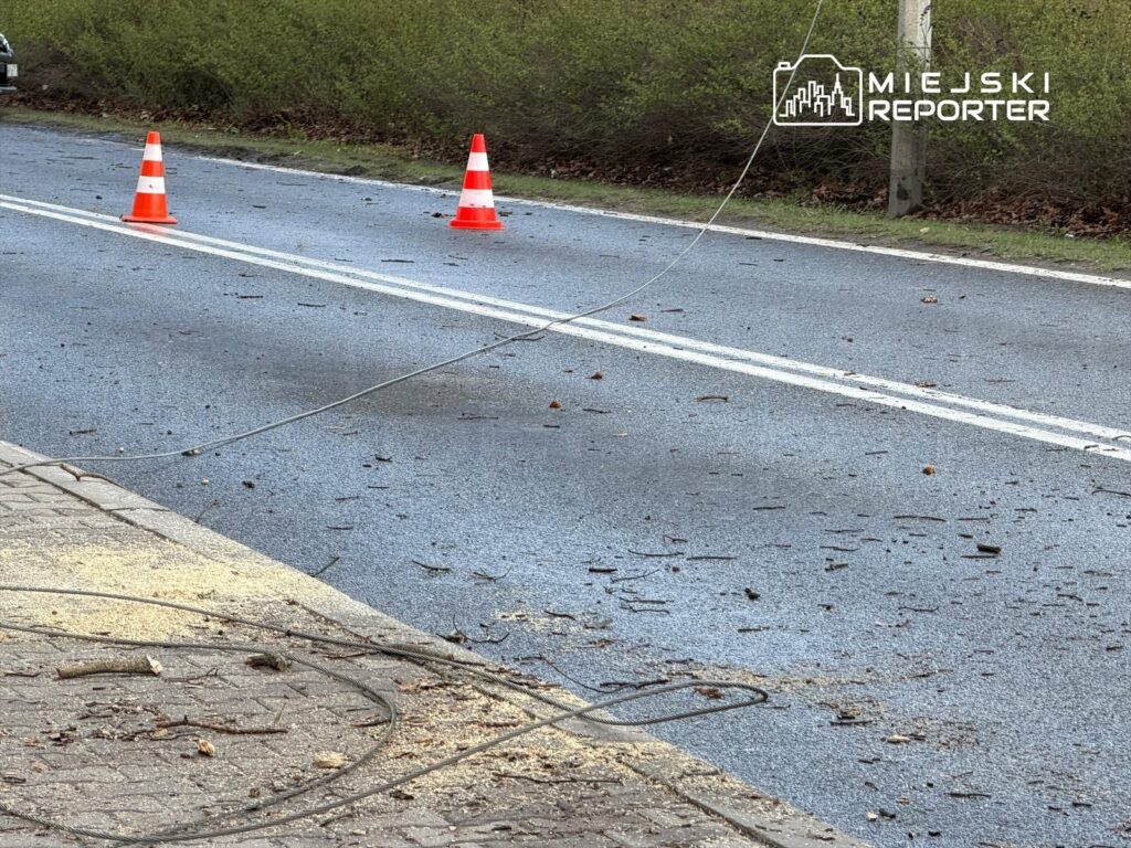 Na drodze leżą posypane gałęzie i trociny, a wzdłuż jezdni ustawione są pomarańczowe pachołki.