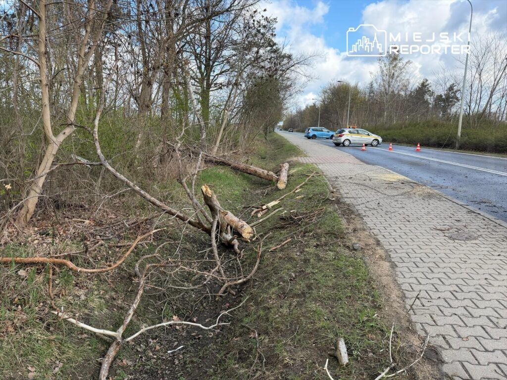 Złamane gałęzie leżą obok drogi, obok której parkują dwa samochody, a w tle widać zalesiony teren.