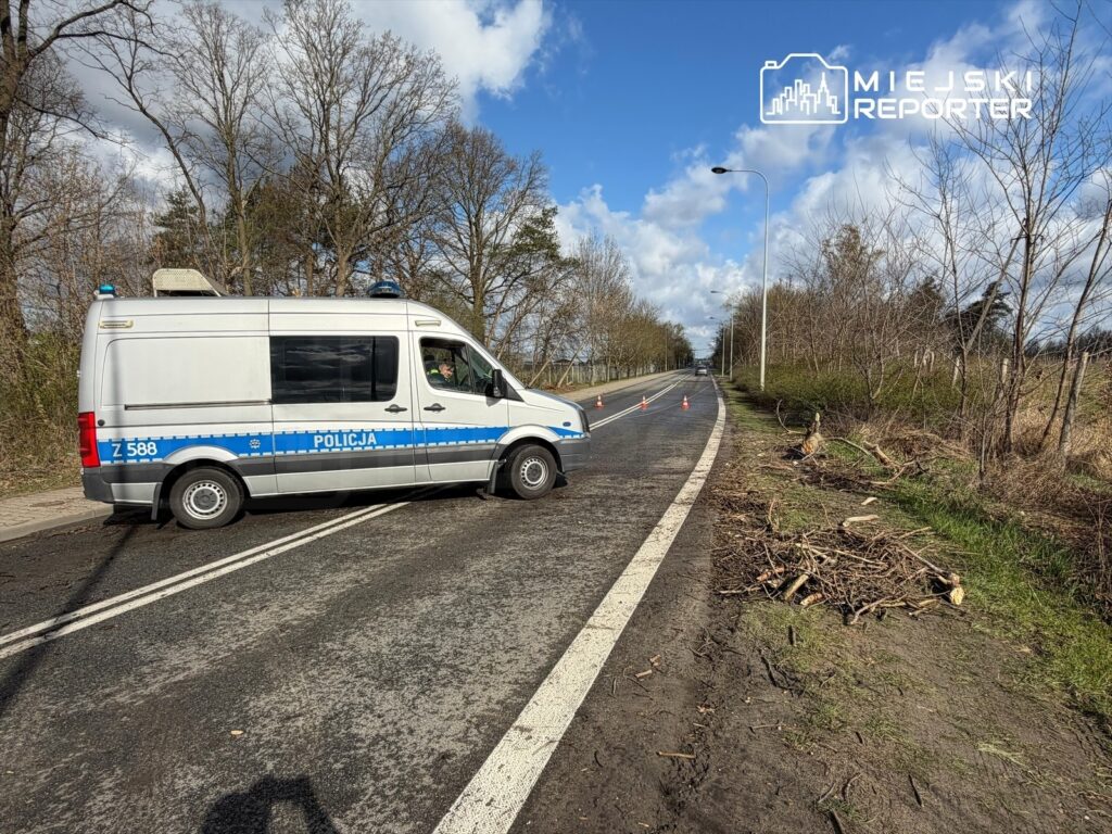 Policyjny radiowóz z włączonymi sygnałami blokuje ruch na drodze, obok leżą gałęzie i resztki roślinności.