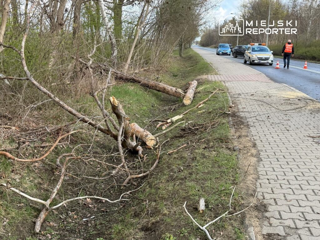 Powalone gałęzie leżą przy drodze, obok samochodów i osoby w kamizelce odblaskowej.