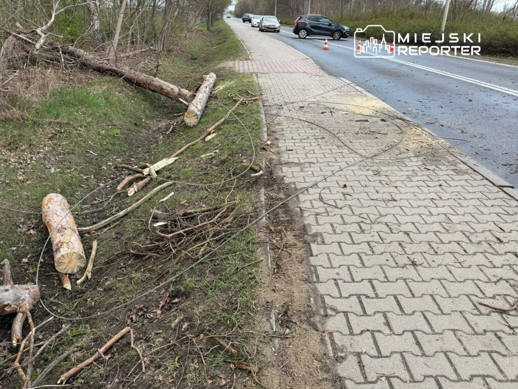 Na chodniku leżą powalone konary i pnie drzew, obok ruchliwa droga z samochodami i oznaczeniem drogowym.