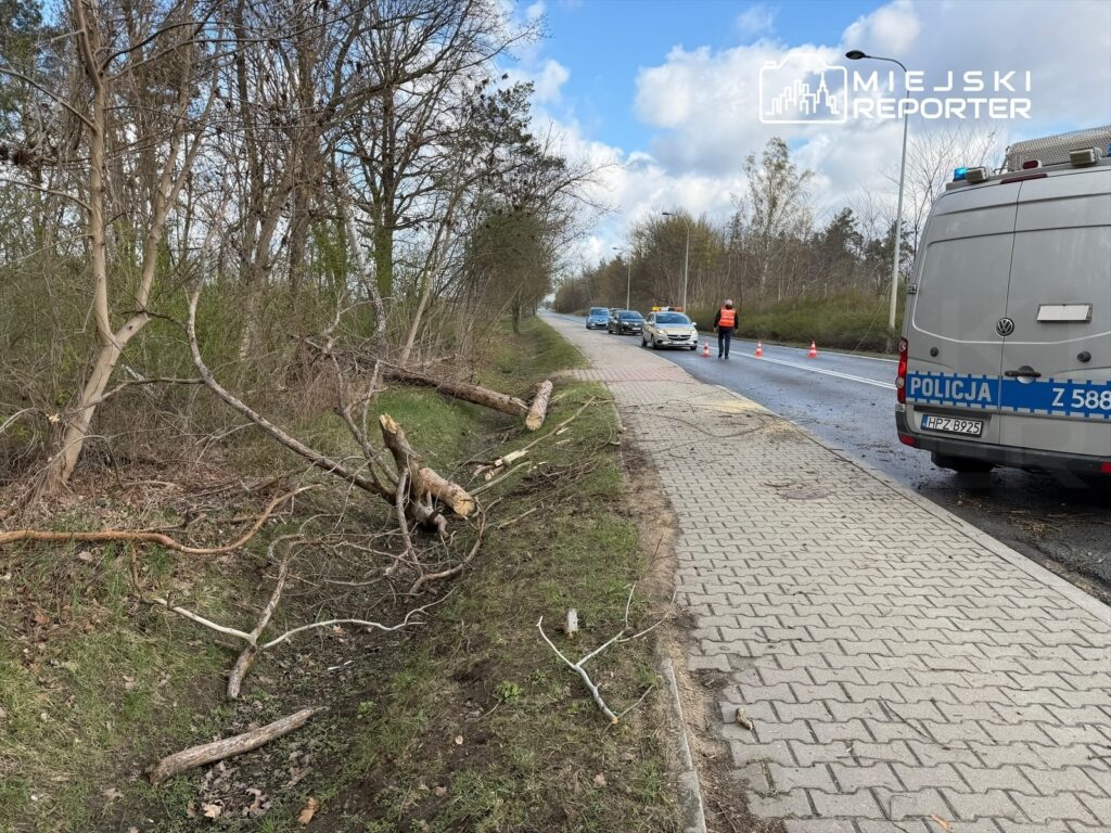Na poboczu drogi leżą połamane gałęzie, obok policjant kierujący ruchem, a w tle przejeżdżające samochody.