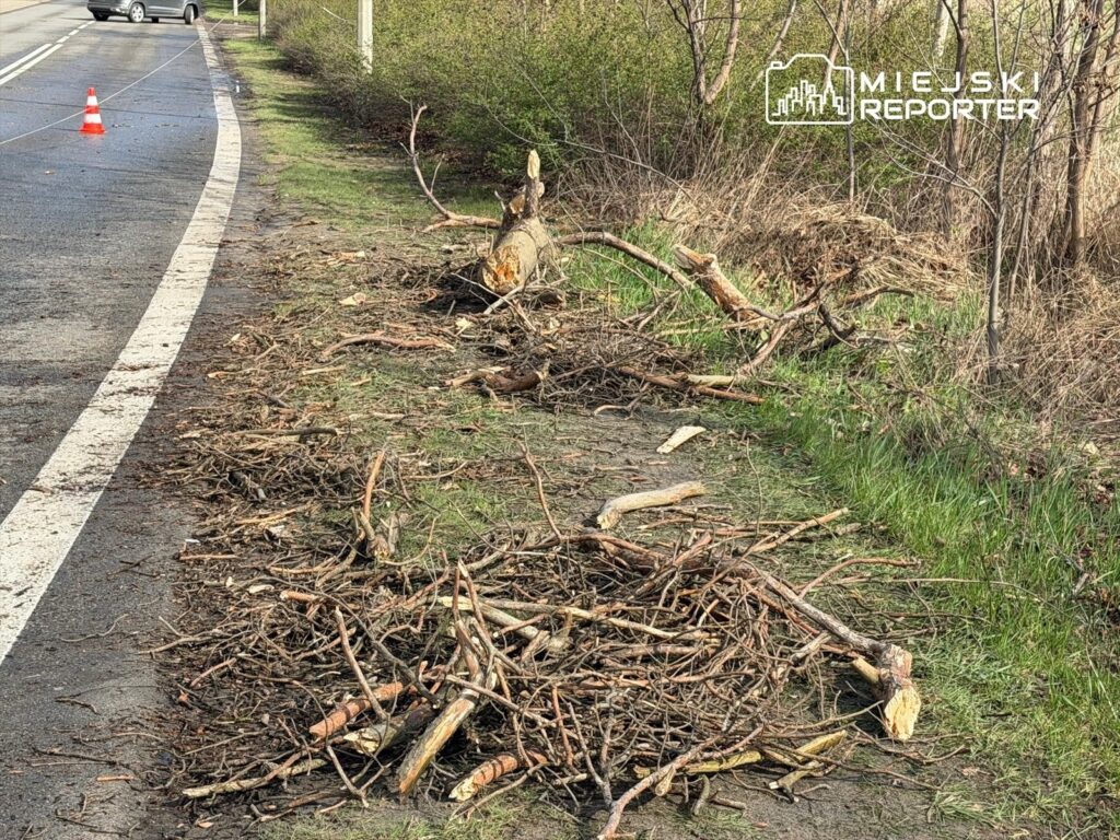 Na poboczu drogi leżą ścięte gałęzie i konary, a obok znajduje się samochód oraz koniczne oznaczenie drogowe.