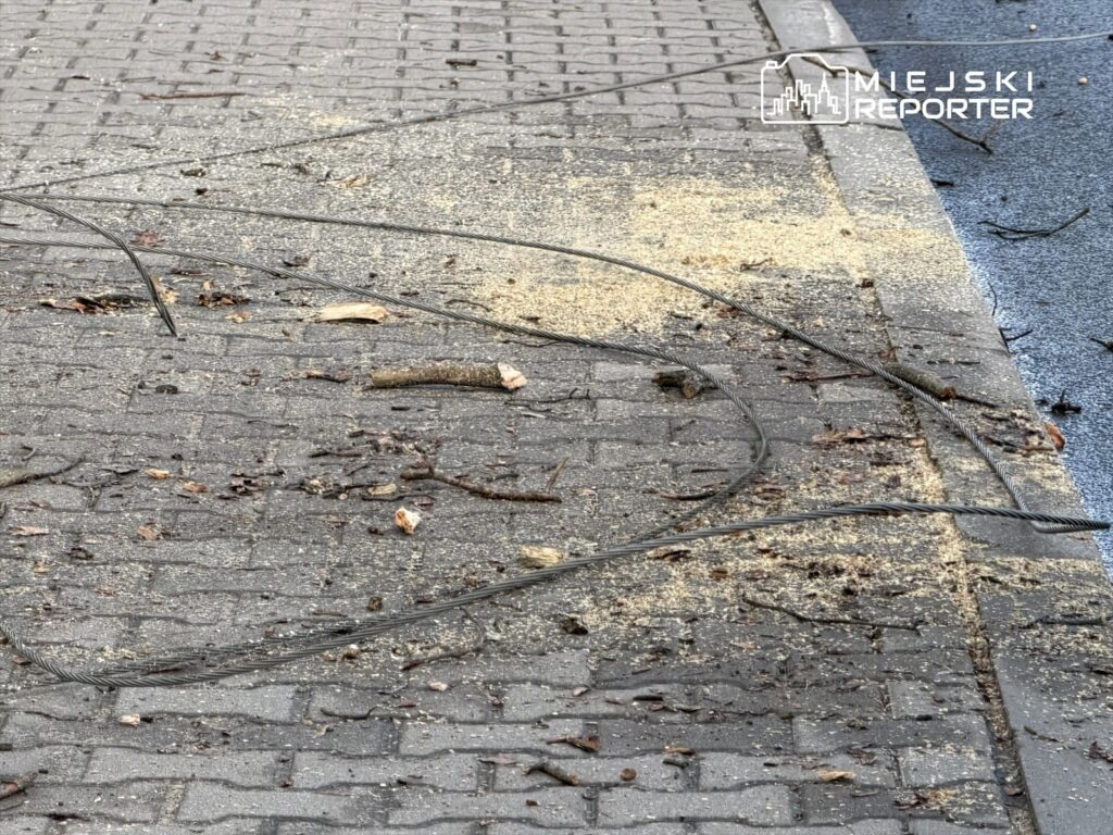 Na chodniku leżą porozrzucane gałęzie, resztki drewna i metalowe druty, wokół widoczne drobne zanieczyszczenia.