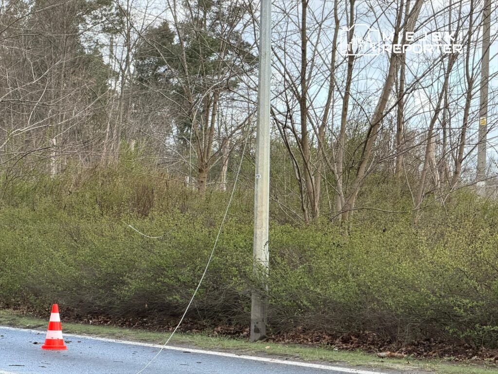 Złamana linia energetyczna opada z słupa, obok czerwono-biały stożek ostrzegawczy na poboczu drogi w otoczeniu drzew.