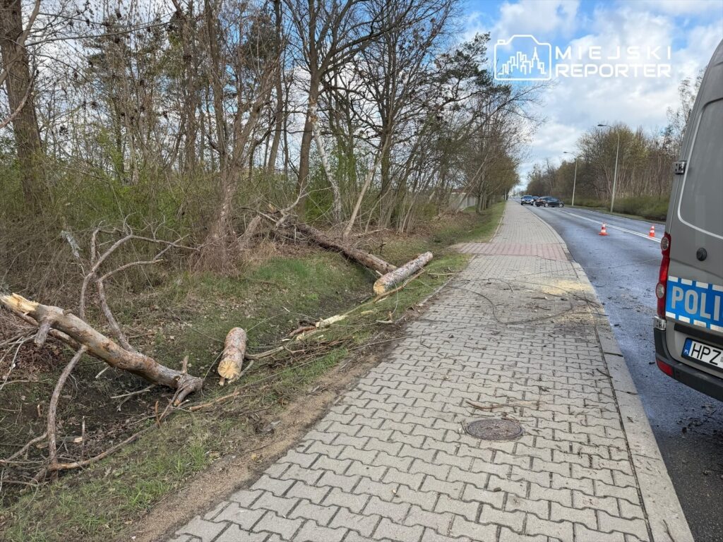 Złamane konary leżą na poboczu drogi, obok policyjnego samochodu, w otoczeniu drzew i krzewów.