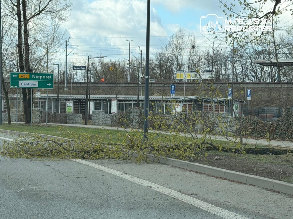 Na jezdni leży złamana gałąź drzewa, obok znak drogowy wskazujący kierunek do Nieporętu i Centrum. W tle widoczny budynek z parkingiem.