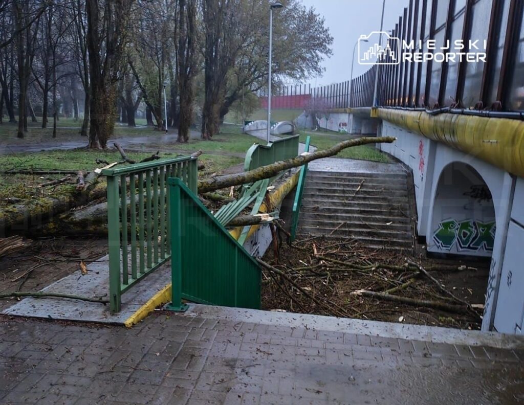 Złamany konar drzewa blokujący schody w parku, otoczenie deszczowe, widoczne kałuże i nagromadzone gałęzie.
