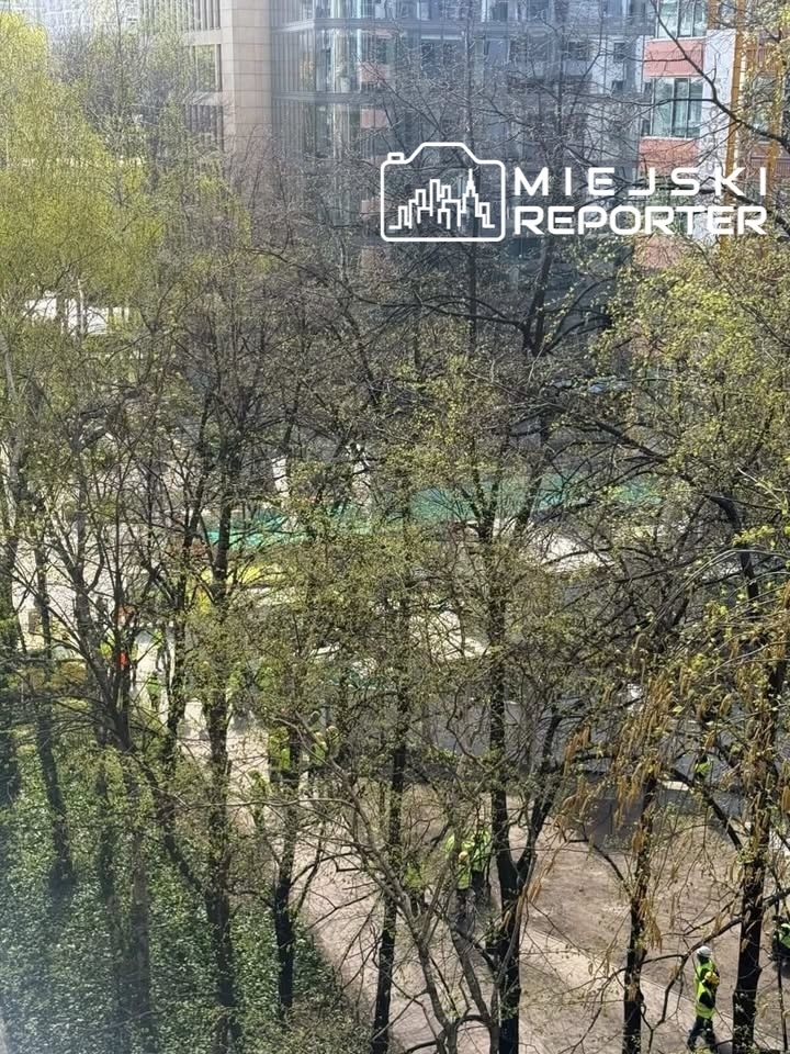 Grupa pracowników w kamizelkach odblaskowych porządkuje teren w miejskim parku otoczonym drzewami.