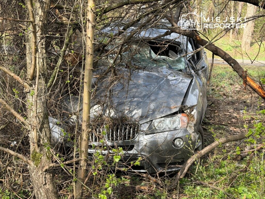 Uszkodzony samochód osobowy w zaroślach, z wybitymi szybami i wgnieceniami, otoczony przez drzewa i krzewy.