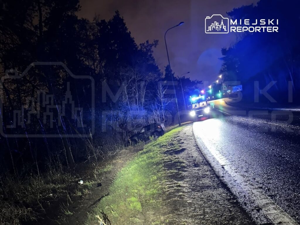 Policyjny radiowóz z włączonymi sygnałami świetlnymi stoi na poboczu drogi w ciemnym otoczeniu leśnym.