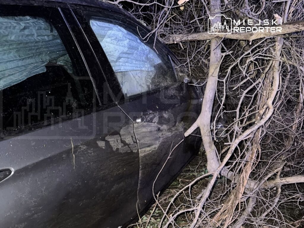 Czarny samochód osobowy uszkodzony przez powalone gałęzie w zaroślach.