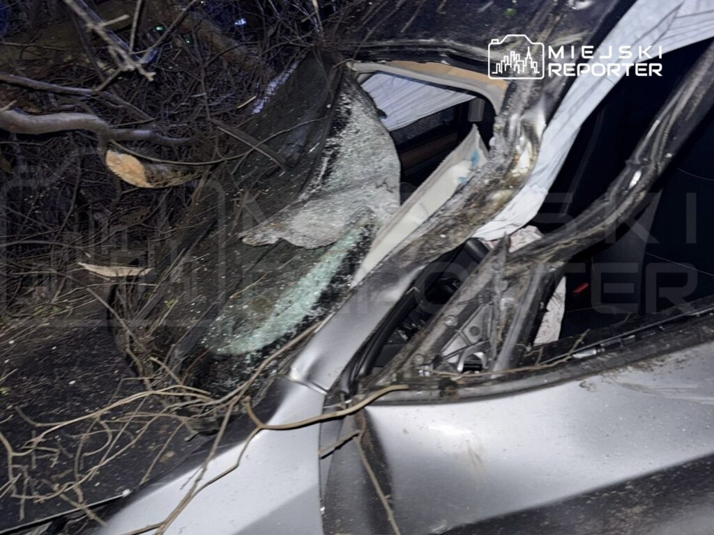 Zniszczony samochód leży w zaroślach, a szyba boczna jest rozbita, otoczony gałęziami i liśćmi.
