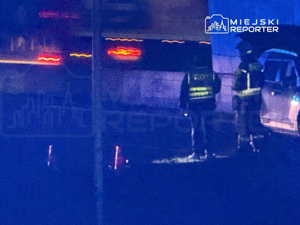 Dwaj policjanci w odblaskowych kamizelkach prowadzą czynności na drodze w nocy, obok zaparkowanego samochodu.