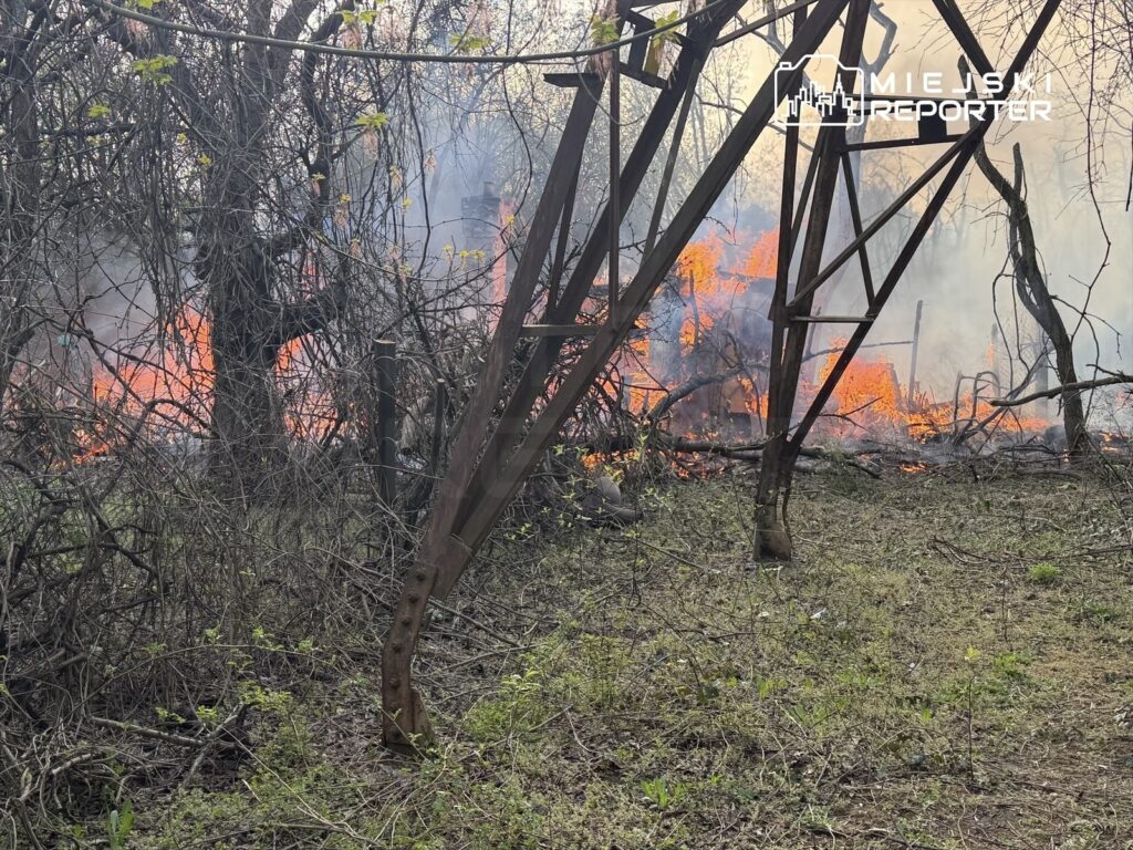 Płonące krzewy i drzewa w otoczeniu słupa energetycznego, w tle widoczne gęste dymy.
