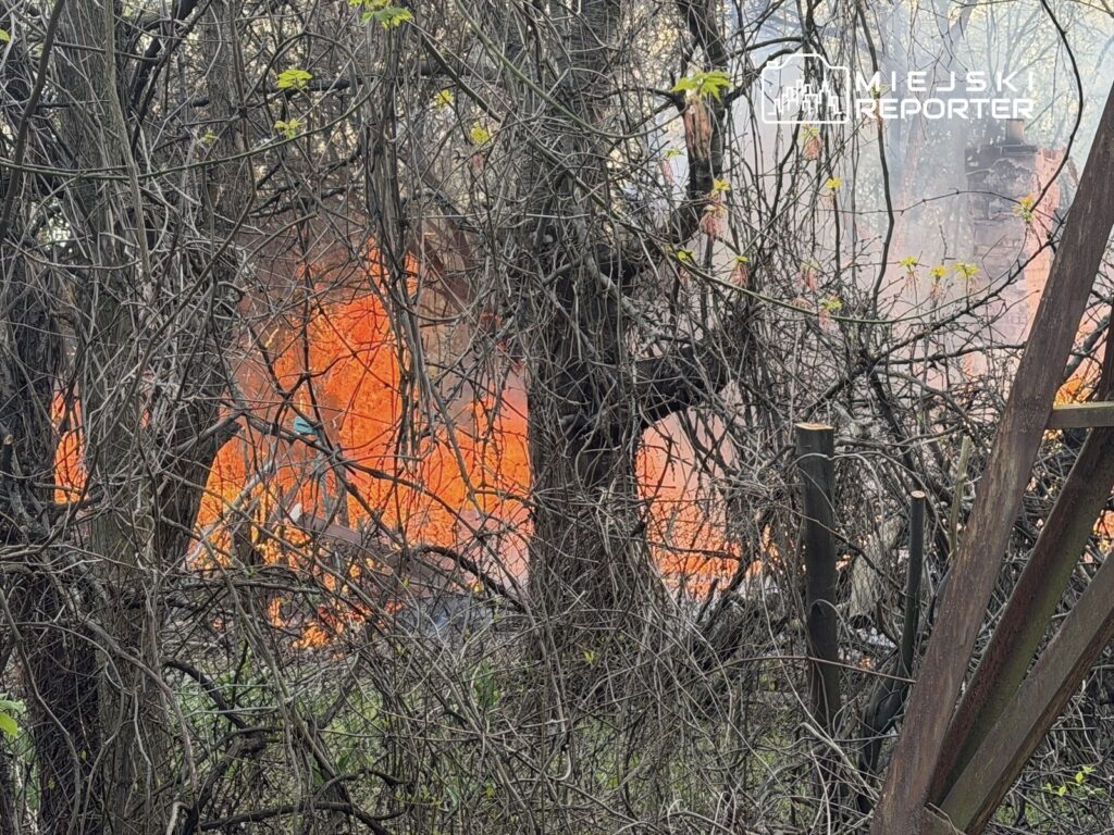 Ognisko pożaru w gęstym zarośniętym terenie, z widocznymi płomieniami i dymem.