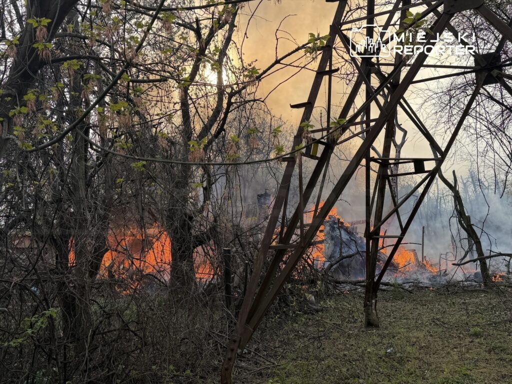 Ognisko pożaru w zaroślach, w tle widoczne płomienie i dym, otoczone nagimi drzewami i fragmentami konstrukcji.