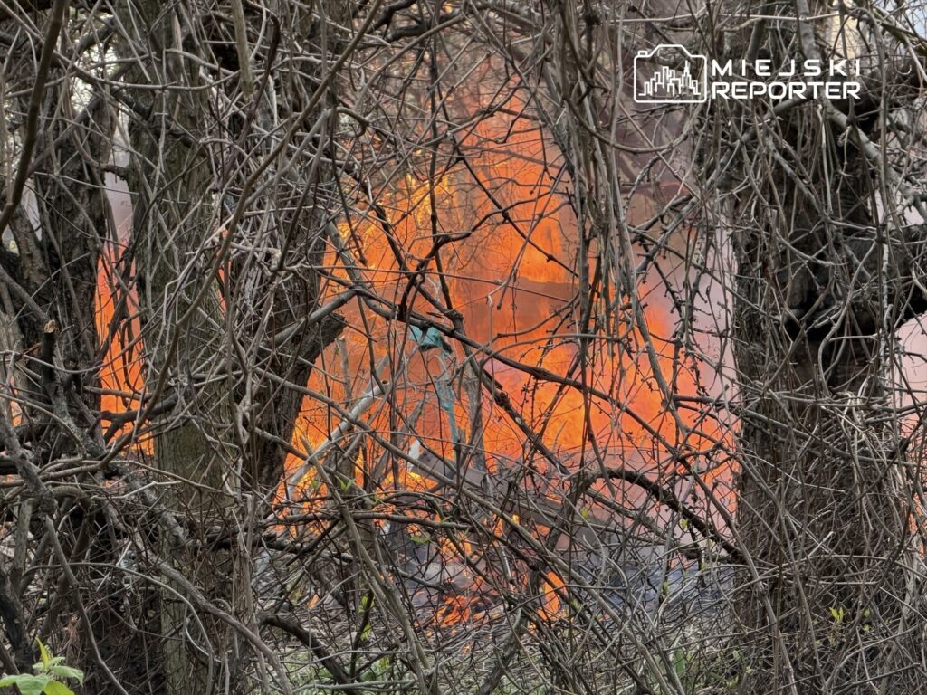 W tle widać ogień wydobywający się z budynku, otoczonego gęstymi gałęziami i krzewami.
