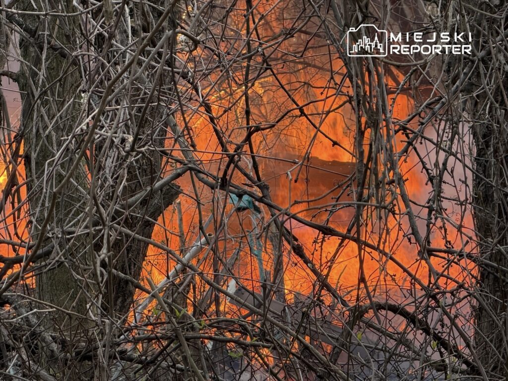 Płonący budynek widoczny przez gęste gałęzie drzew, otoczony ogniem i dymem.