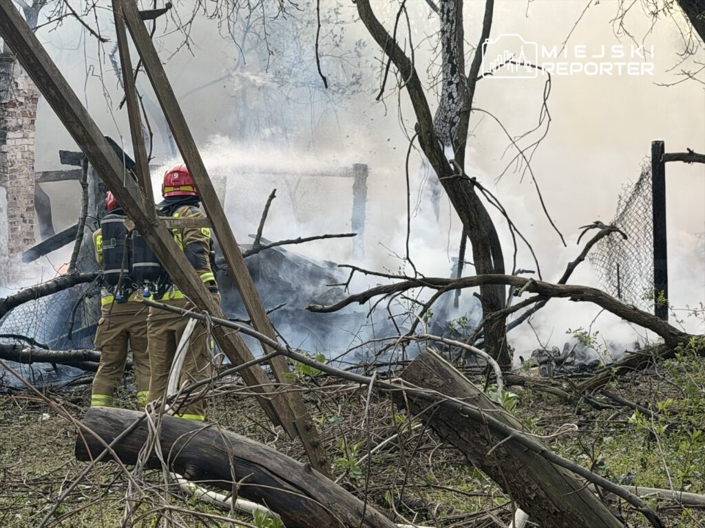 Dwaj strażacy w hełmach obserwują dymiącą ruinę w zaroślach pożaru. W tle widoczne spalone drzewa i zniszczona siatka.