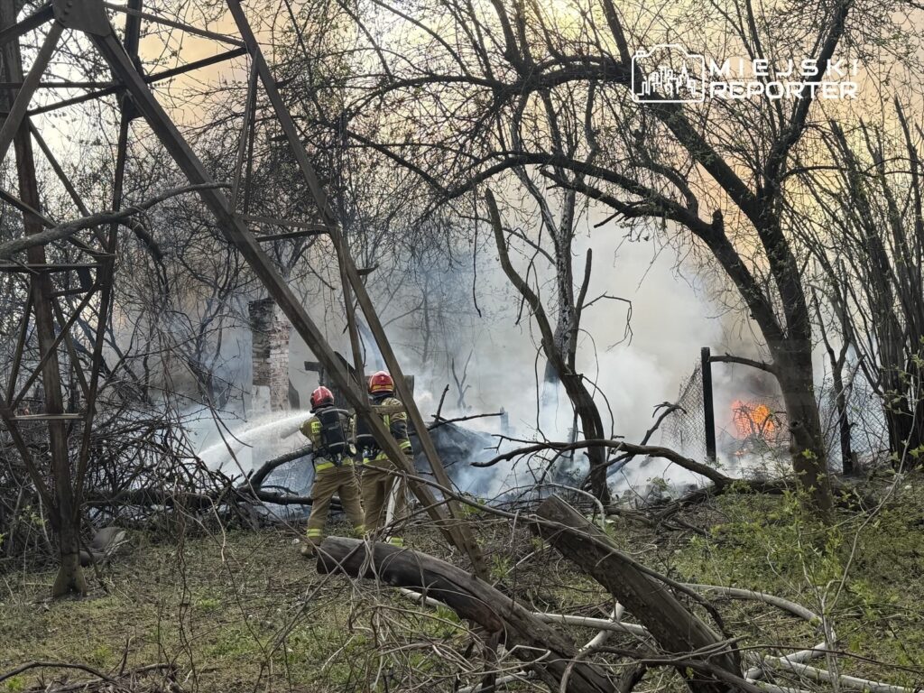Strażacy gaszą pożar w zaroślach, używając węża strażackiego, w tle widoczne płomienie i dym.