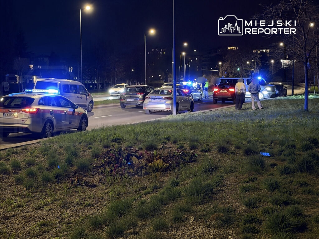 Policyjne samochody z włączonymi sygnałami świetlnymi zatrzymane na drodze, obok grupy ludzi w nocy.