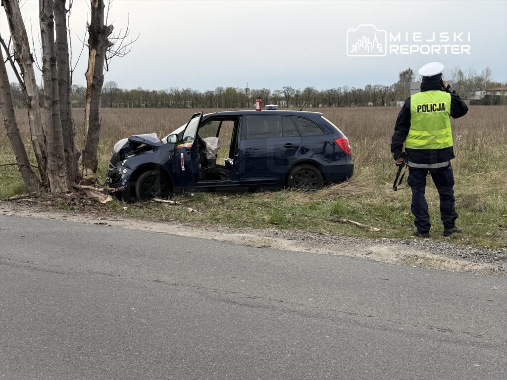 Policyjny funkcjonariusz w kamizelce odblaskowej rozmawia przez telefon obok uszkodzonego samochodu, który uderzył w drzewo.