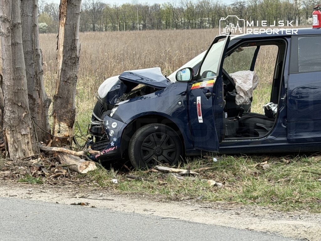 Samochód osobowy z uszkodzoną przednią częścią stoi przy drzewach, z otwartymi drzwiami i wystrzeloną poduszką powietrzną.
