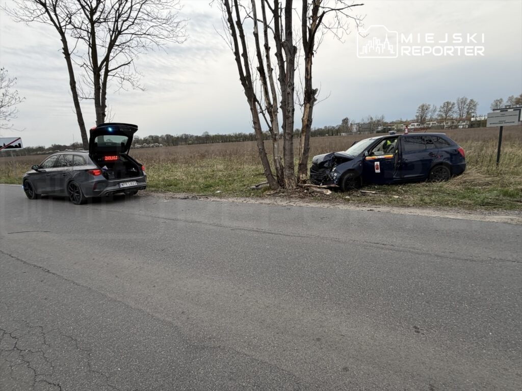 Czarny samochód osobowy stoi na poboczu drogi, a niebieski pojazd z uszkodzeniami uderzył w drzewo.