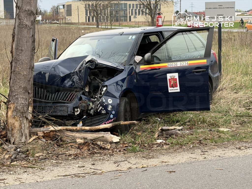 Rozbity samochód osobowy z uszkodzoną przednią częścią stoi przy drodze, obok pnia drzewa.