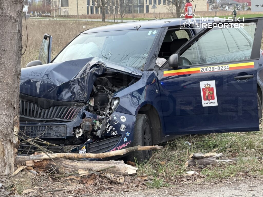 Wgnieciony radiowóz policyjny z widocznymi uszkodzeniami zderzaka, stojący obok drzewa na poboczu drogi.