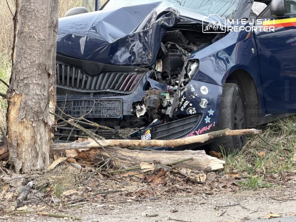 Samochód osobowy z uszkodzonym przodem, w pobliżu powalonego drzewa i gałęzi, na zarośniętej drodze.