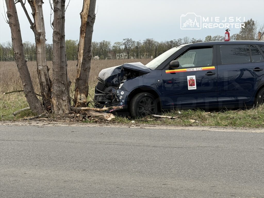 Nieoznakowany radiowóz policyjny z uszkodzoną przednią częścią stoi przy drzewach na poboczu drogi.