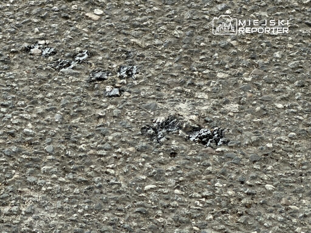 Ślady zwierząt na asfaltowej nawierzchni, w otoczeniu drobnych kamieni i żwiru.
