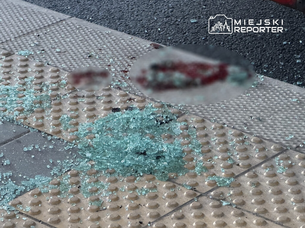 Szkło rozbite na chodniku, z plamami krwi w otoczeniu, na tle fragmentu nawierzchni z wypukłymi punktami.