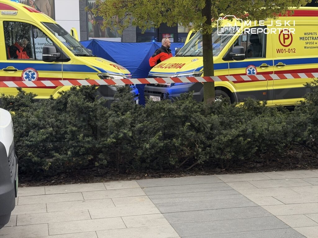 Dwa karetki pogotowia z włączonymi sygnałami świetlnymi stoją obok siebie, otoczone przez krzewy.