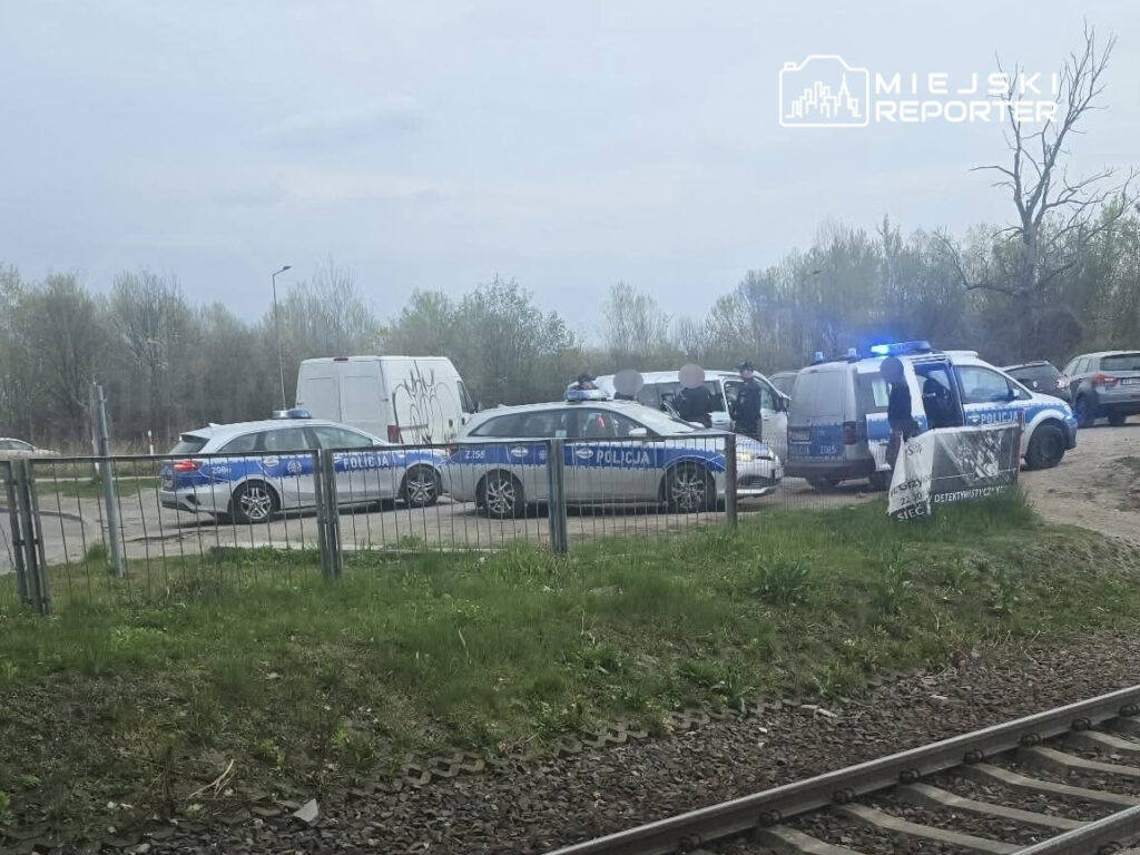 Grupa policjantów prowadzi działania operacyjne przy zaparkowanych radiowozach w terenie.