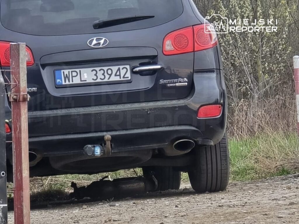 Czarny samochód marki Hyundai zaparkowany na poboczu drogi, obok widać leżącego kota.