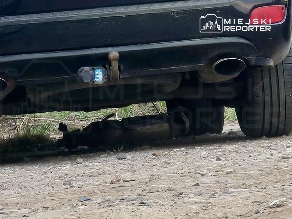 Czarny samochód zaparkowany na nieutwardzonej nawierzchni, pod nim widać czarnego kota.