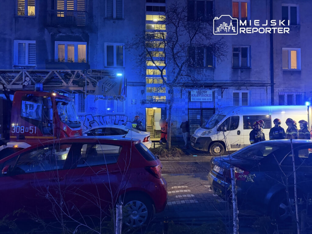 Strażacy w mundurach rozmawiają obok wozu strażackiego i furgonetki na oświetlonej niebieskim światłem ulicy.