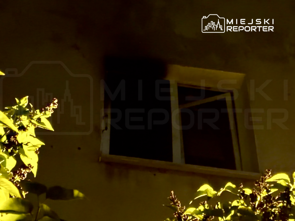 Na ścianie budynku widać okno z ciemnym śladem, obok rosną zielone krzewy.