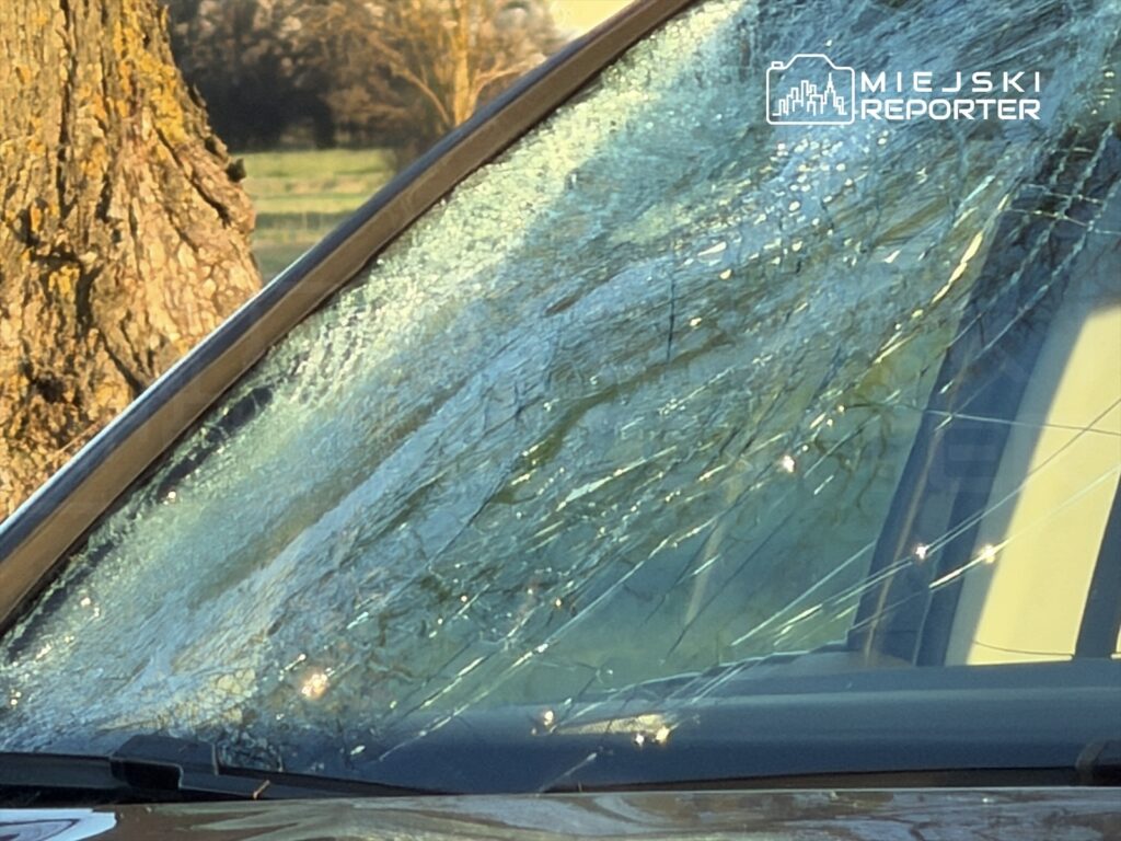 Pęknięta szyba samochodowa z widocznymi rysami, w tle drzewa i zieleń.