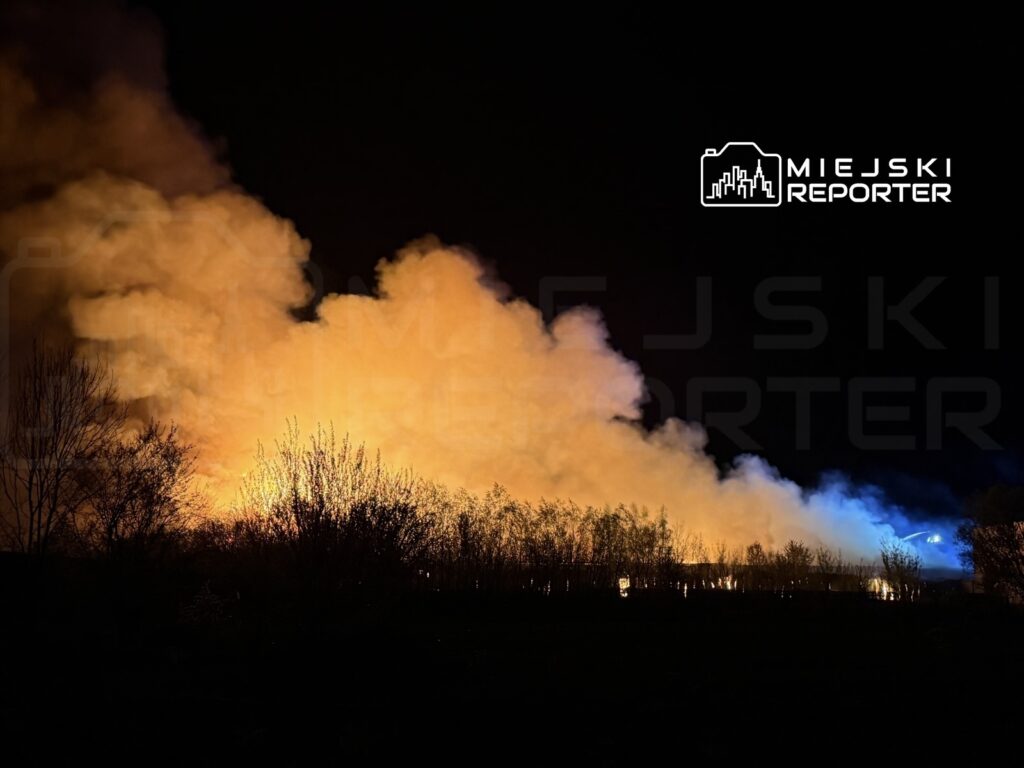 Nocna scena z intensywnym ogniem i kłębami dymu wydobywającymi się z zarośli w ciemnym otoczeniu.