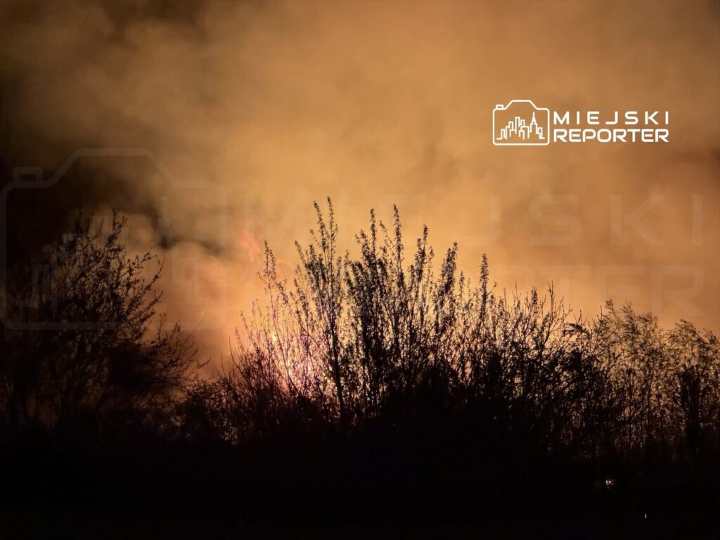 Płonące zarośla emitujące dym i ogień w tle, otoczone ciemnym niebem.