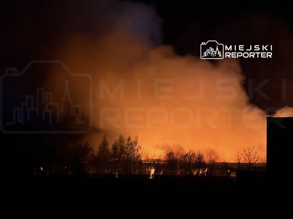 Intensywne płomienie i dym unoszą się z pożaru w nocy, otaczając zarośla i ciemne sylwetki budynków.