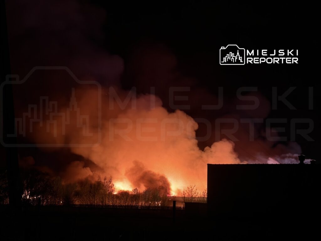 Ognisko pożaru z intensywnym dymem i płomieniami w tle, otoczone niską roślinnością.