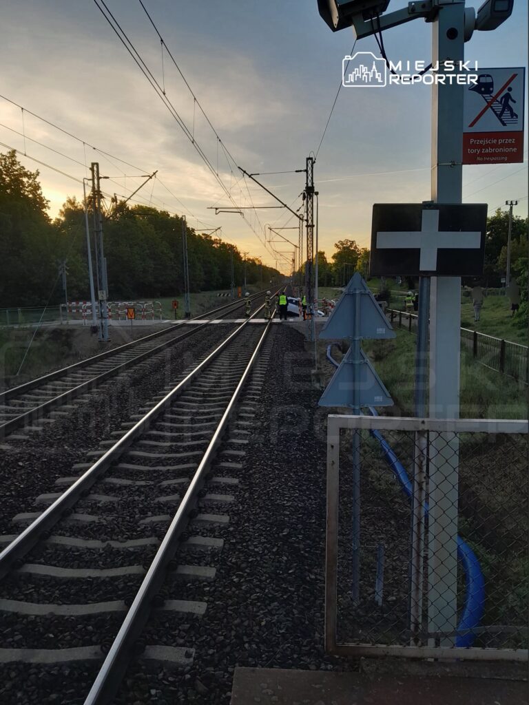 Pracownicy w odblaskowych kamizelkach przeprowadzają prace na torach kolejowych w otoczeniu zieleni i zachodzącego słońca.